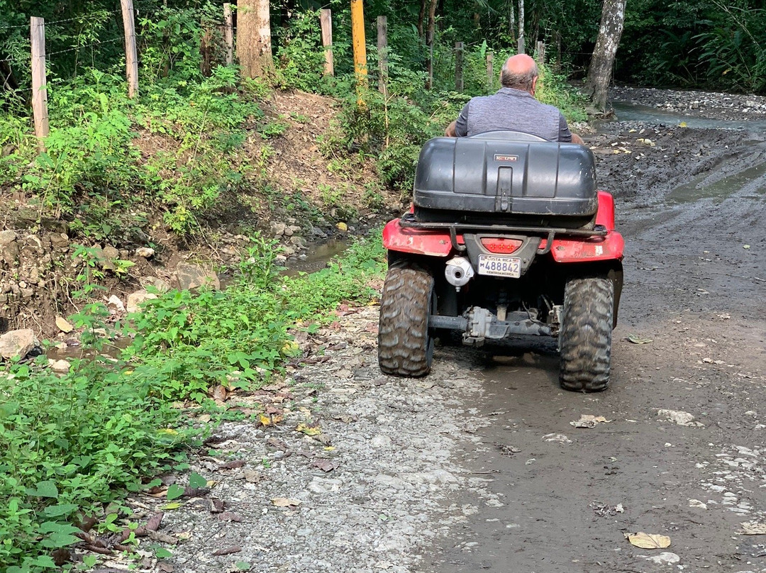 Pacific Dirt Road Adventures景点图片