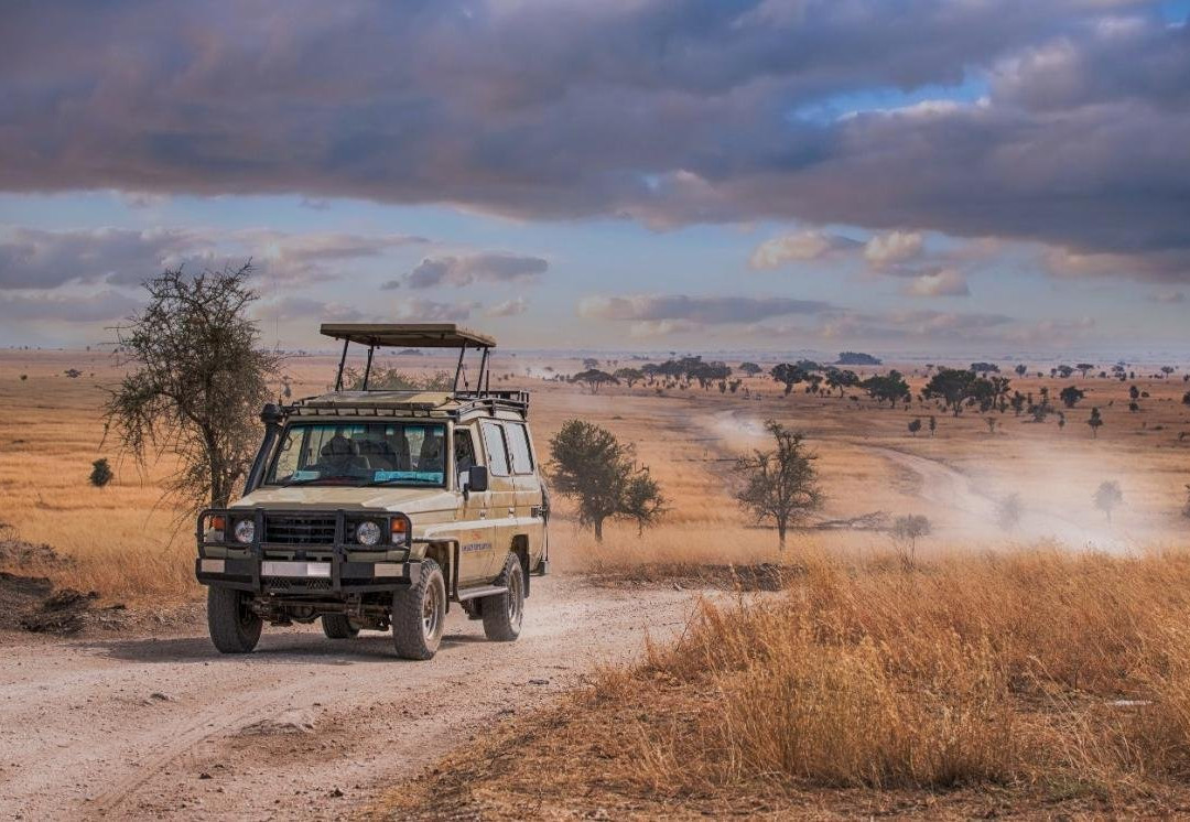 Lazizi Expeditions-内罗毕必去景点