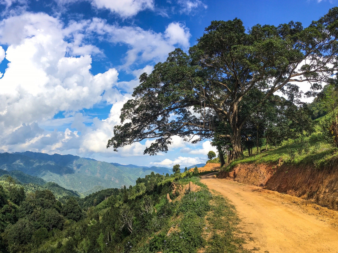 Pankam Village Hike with Than Htike-西保必去景点