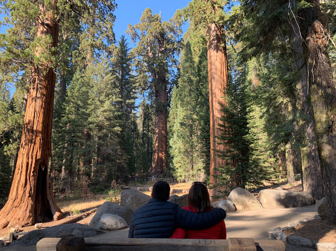 Sequoia and Kings Canyon National Parks景点图片