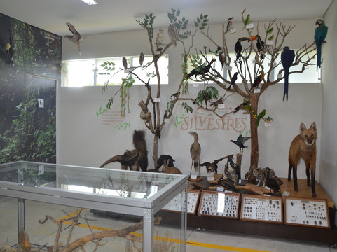 Museu de Historia Natural de Itapira-Itapira必去景点