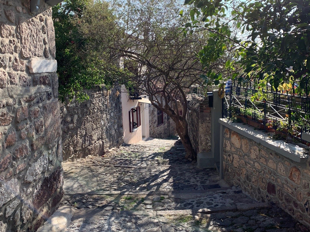 Lesvos Taxi Service-Petra必去景点