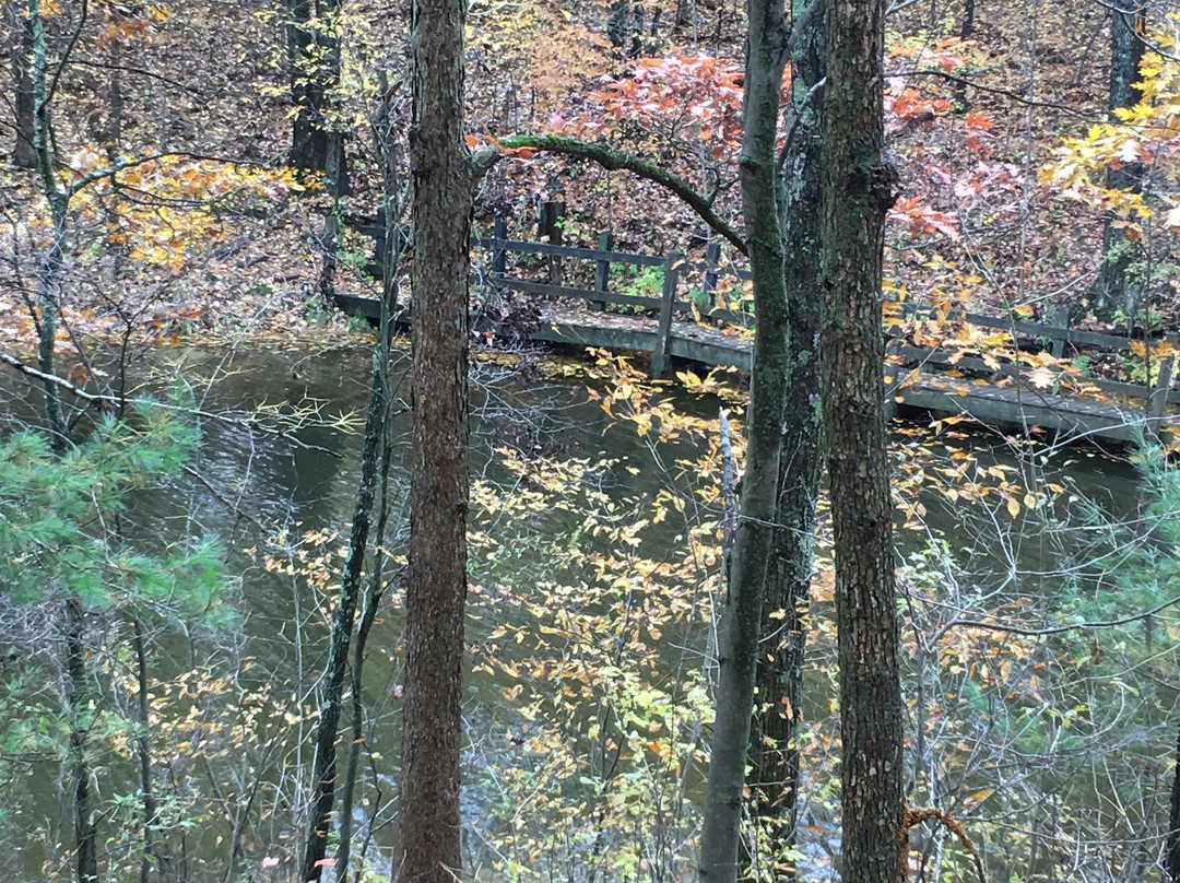 Newaygo State Park景点图片