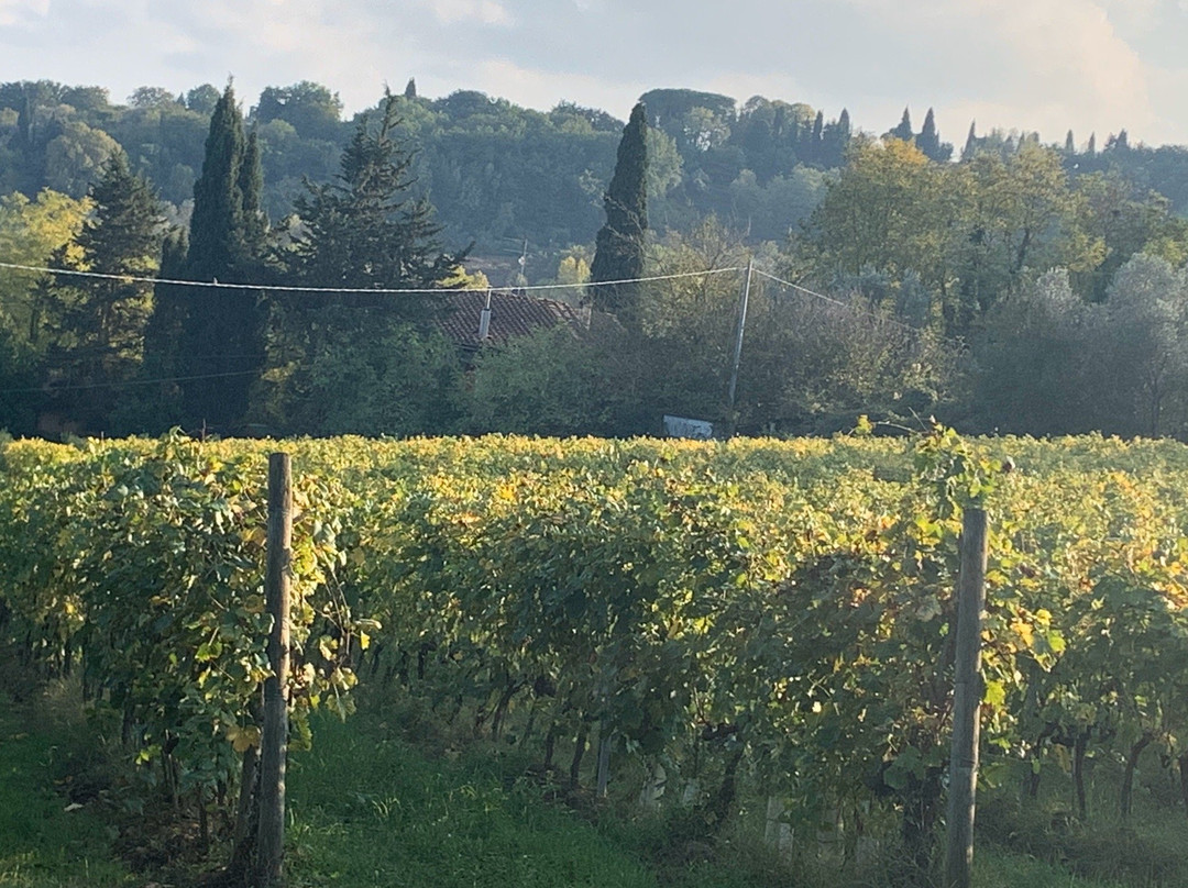 Guardastelle Winery景点图片