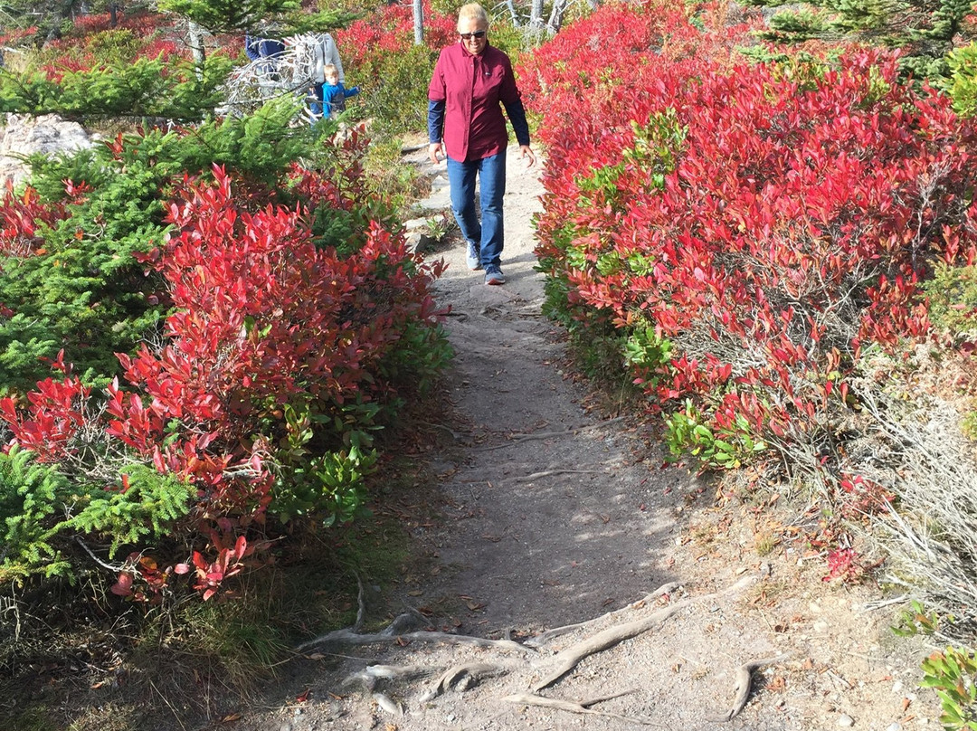 Ship Harbor Nature Trail景点图片