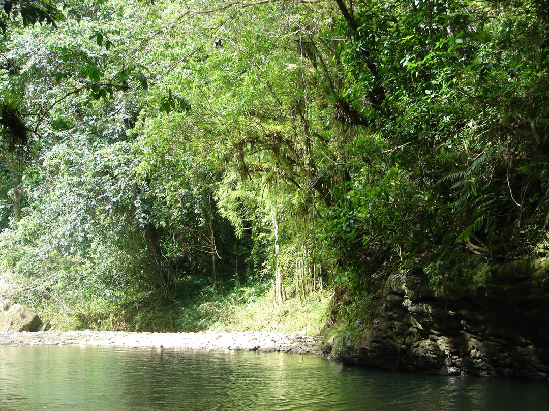 Arecibo River景点图片