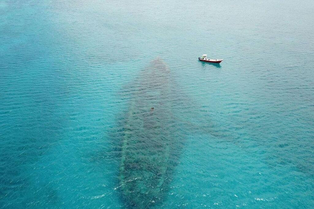 Sea Cat Discoveries Ltd景点图片