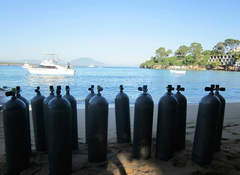 Northern Coast Diving-苏莎亚必去景点