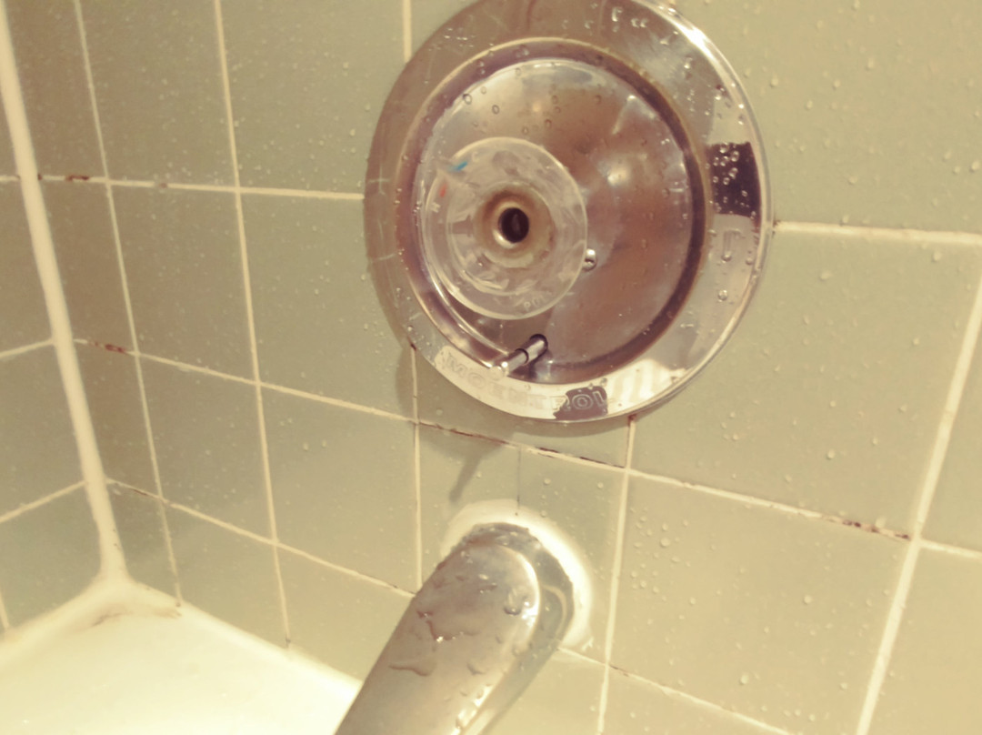 Travelodge by Wyndham Sydney主图