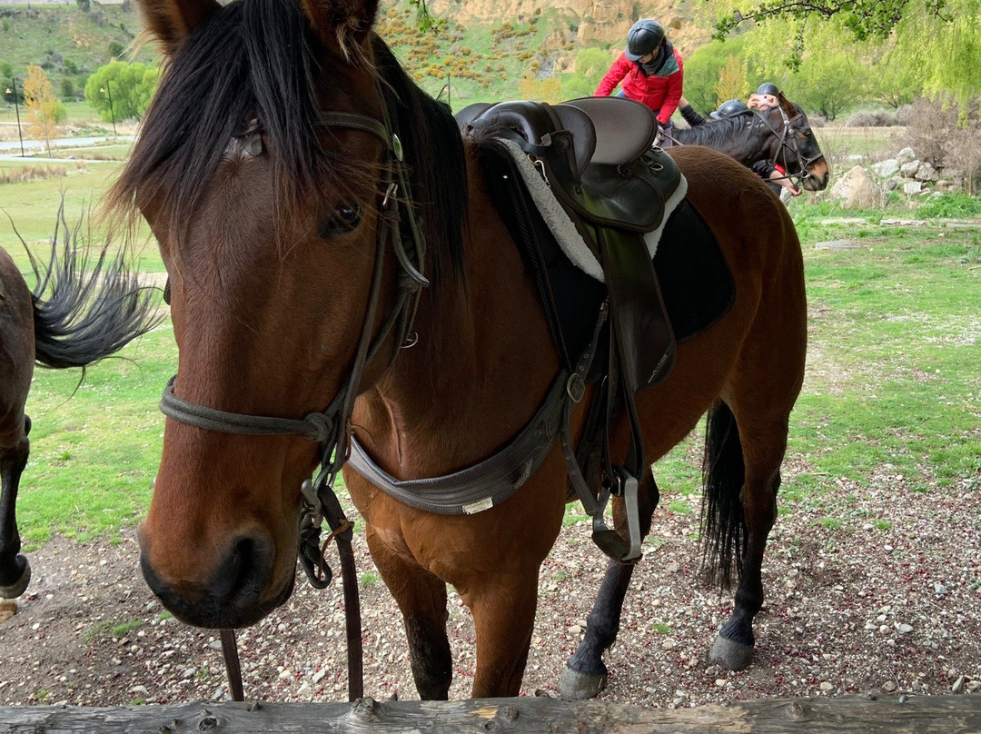 卡德罗纳骑马游景点图片