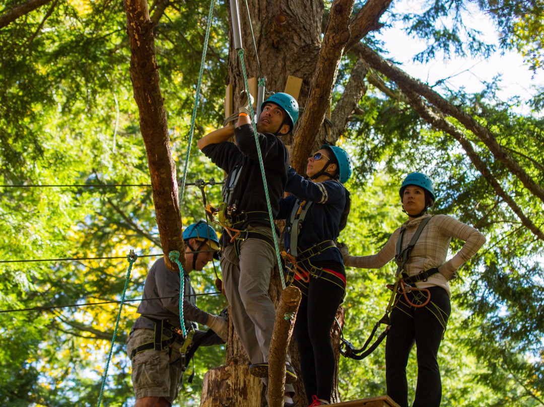 ONTREE Fun & Adventure Park景点图片