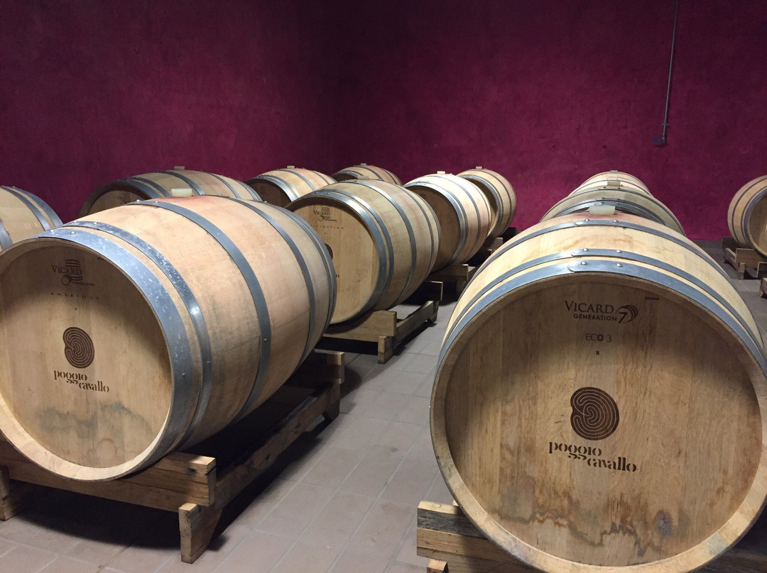Cantina Poggio Cavallo-奥尔维耶托必去景点