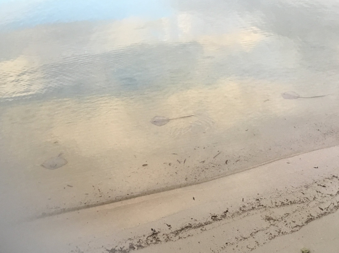 Le Vasseur La Buse Eco Resort主图