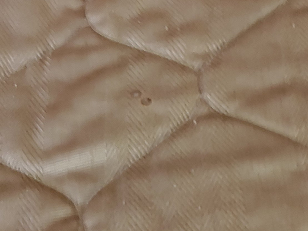 Radiance Inn And Suites主图