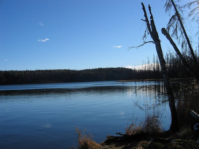 Crow Lake Provincial Park景点图片