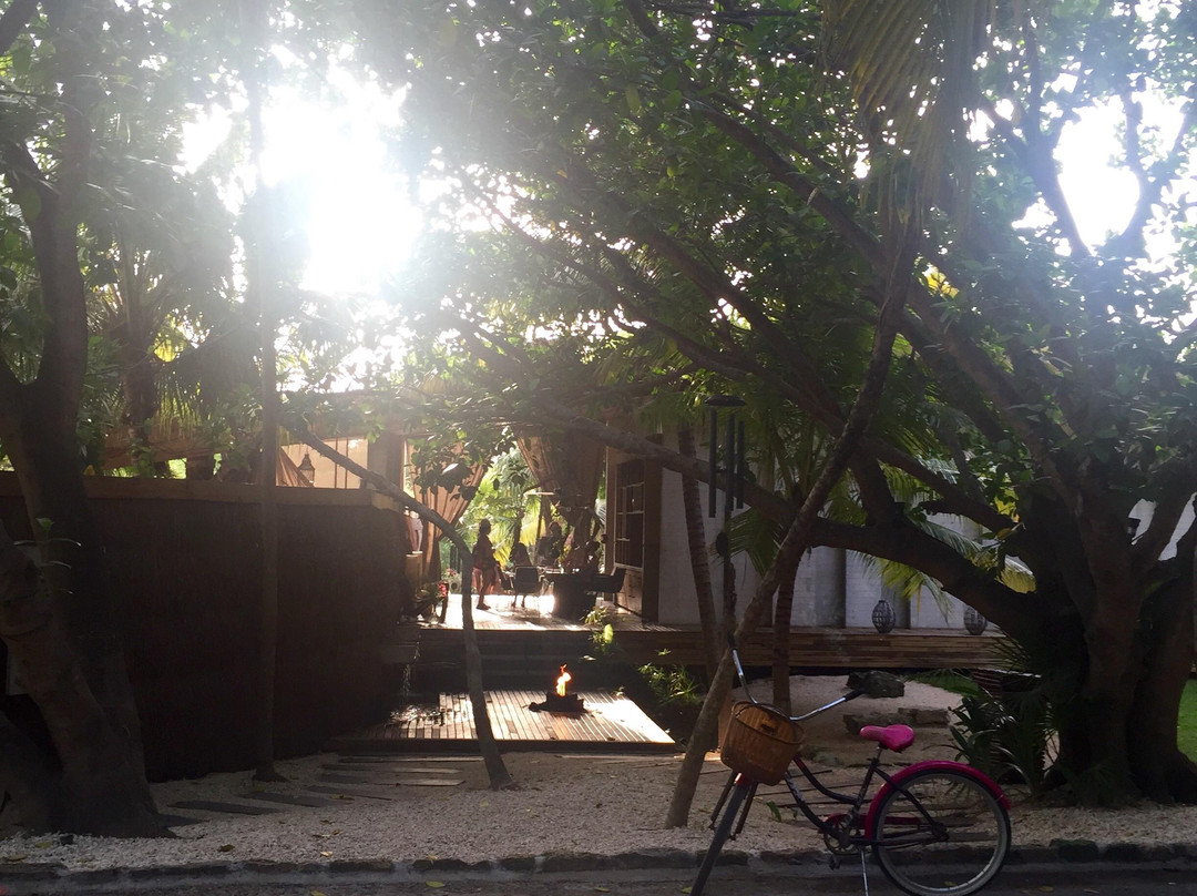 Punta Allen旅游景点-Yäan Healing Sanctuary