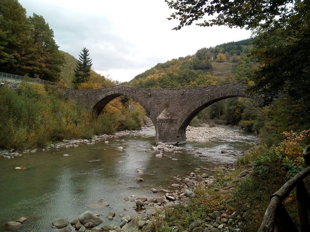 Ponte della Fola景点图片