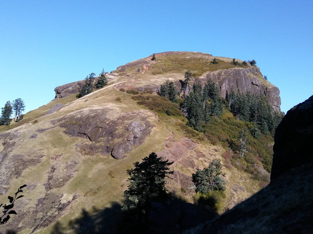 Saddle Mountain State Natural Area景点图片