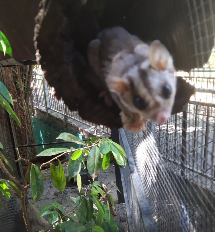 丹特里野生床和早餐主图