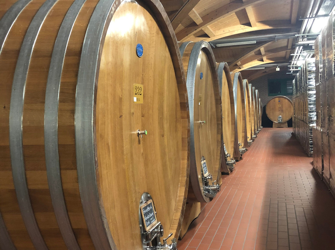 Cantina di Montalcino-蒙塔尔奇诺必去景点