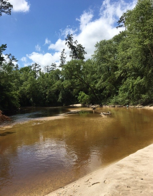 Black Creek Canoe Rental景点图片