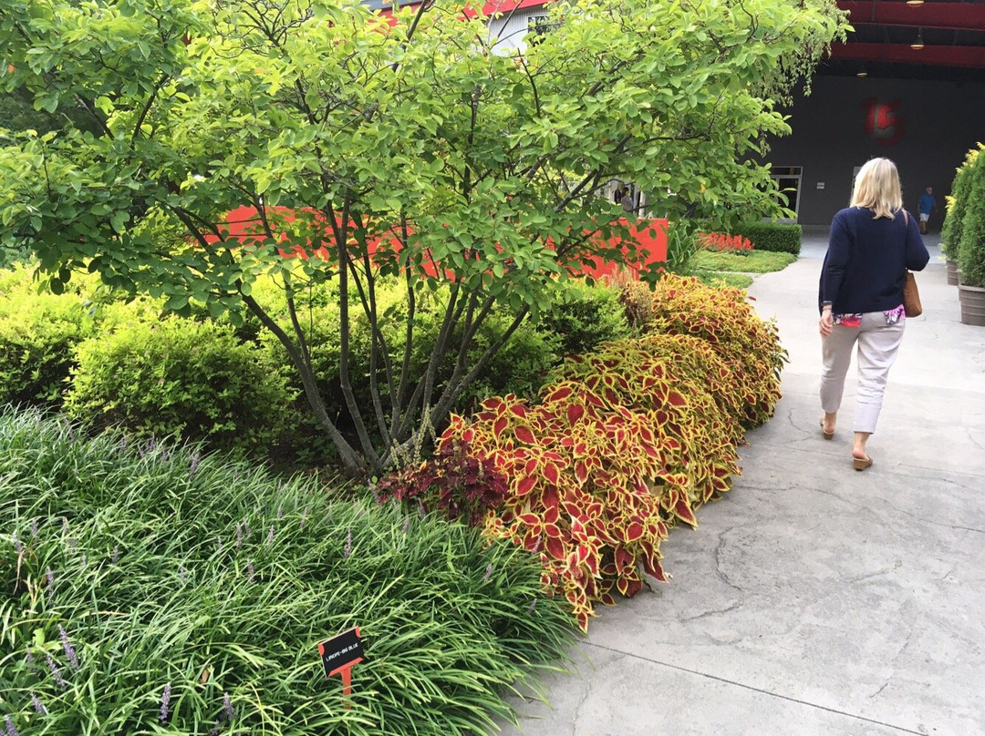 Saugatuck Center for the Arts