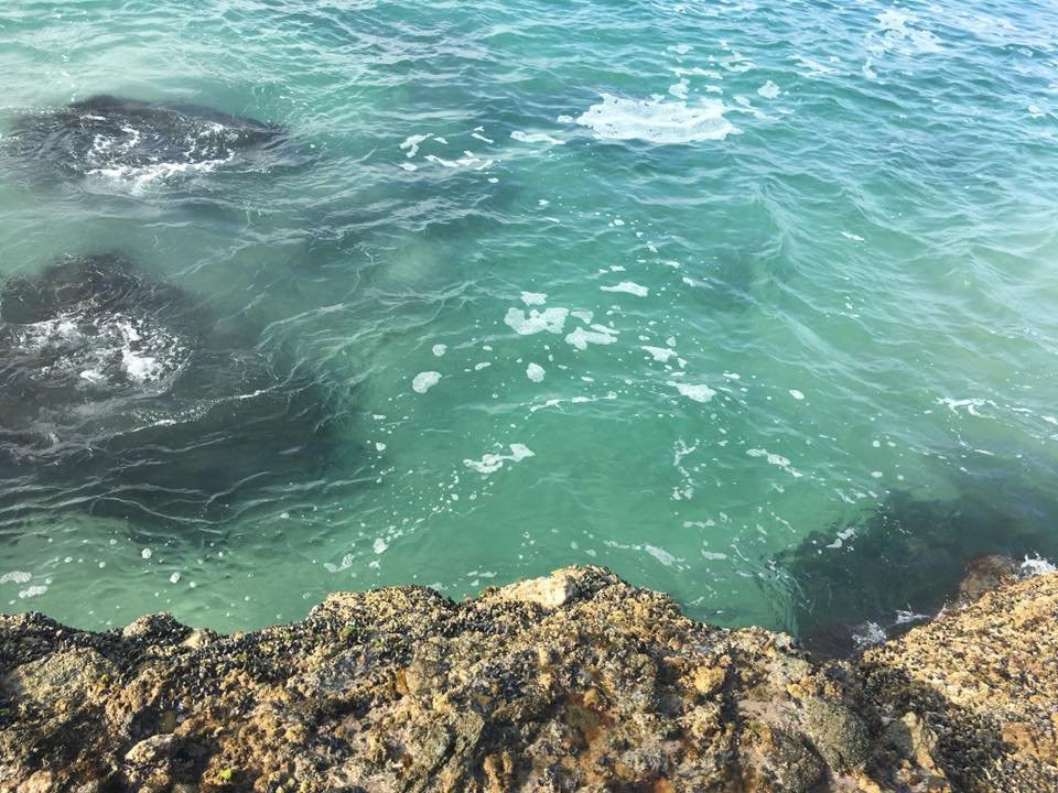 Laguna Beach Pirate Tower景点图片