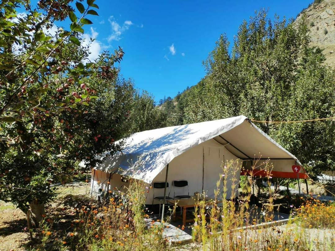 Apple Orchard Farm and Camping主图