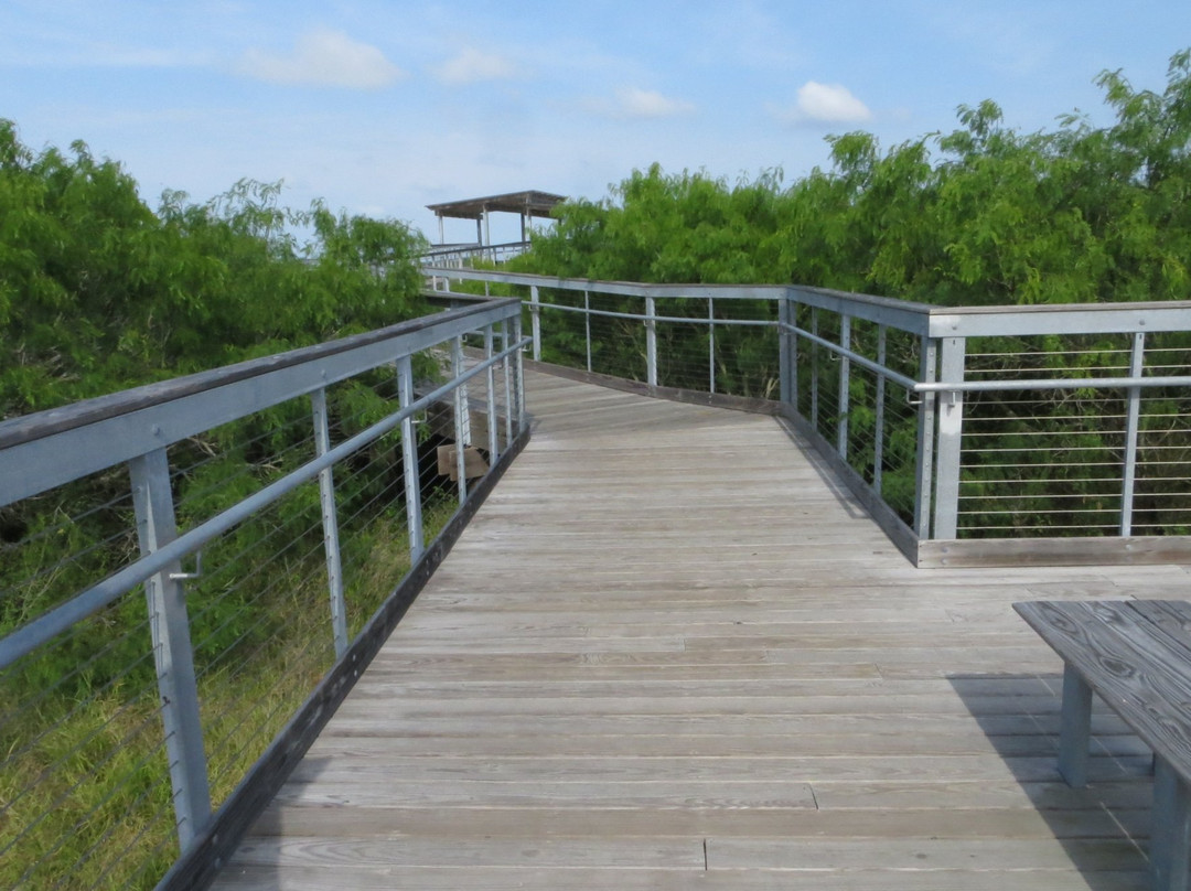 Oso Bay Wetlands Preserve & Learning Center景点图片