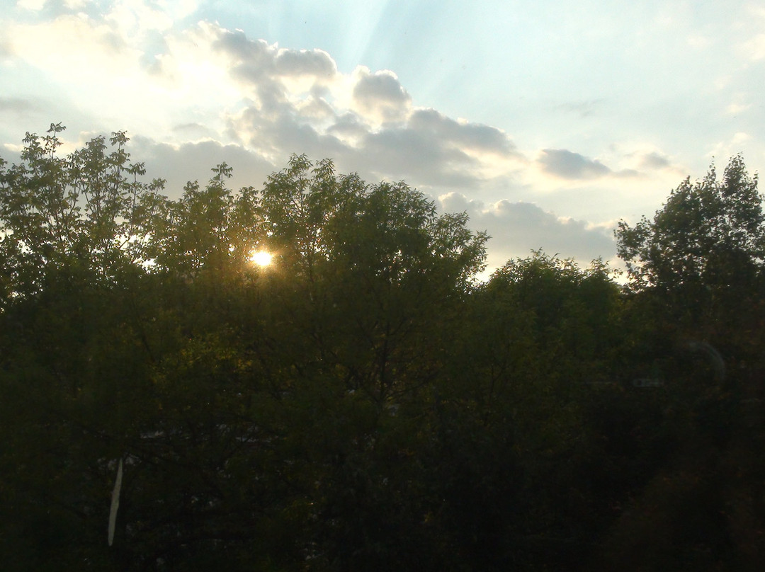 阿寒游久之里鹤雅主图