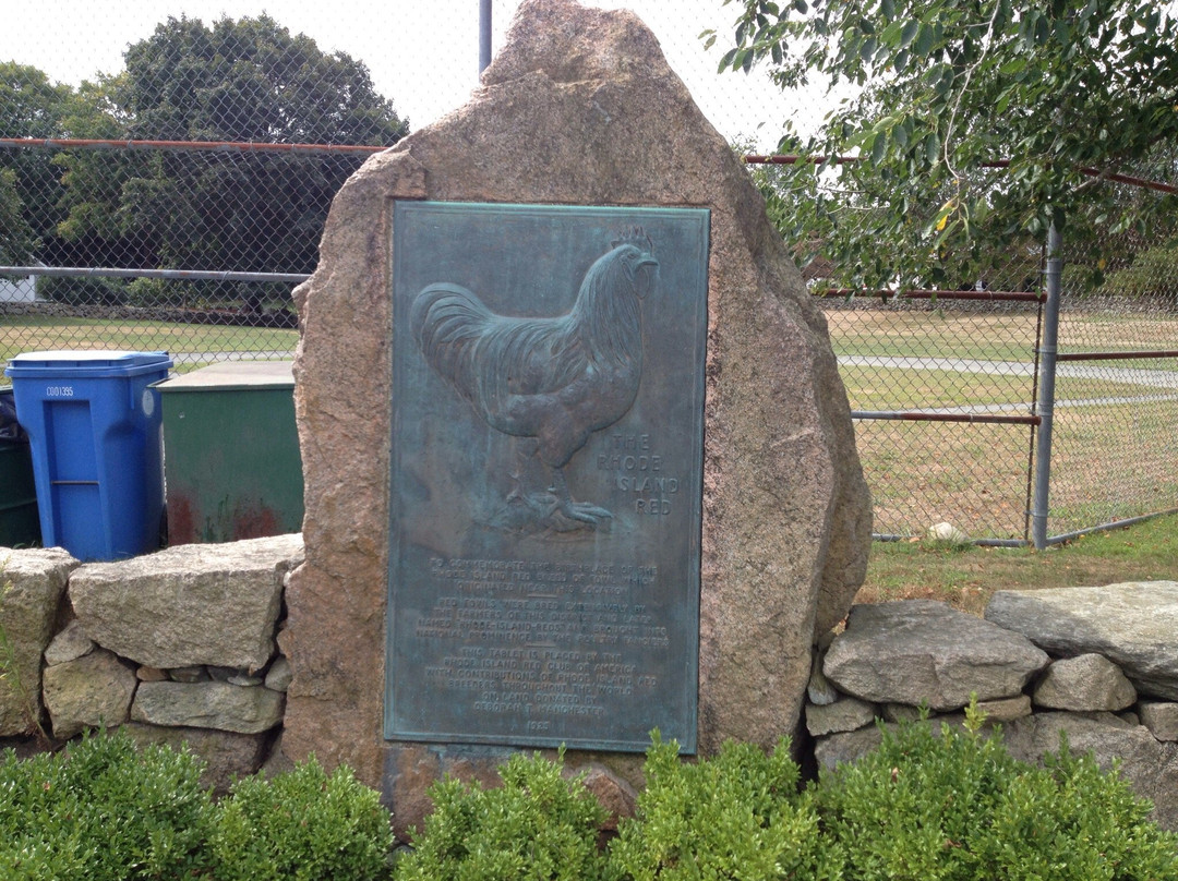 Rhode Island Red Chicken Monument景点图片
