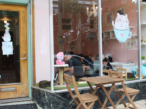 United旅游景点-Kawaii Kitty Cafe