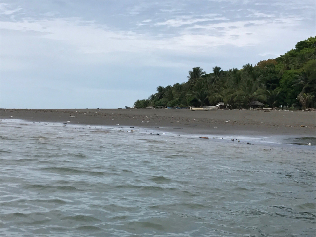 Pianguita Beach景点图片