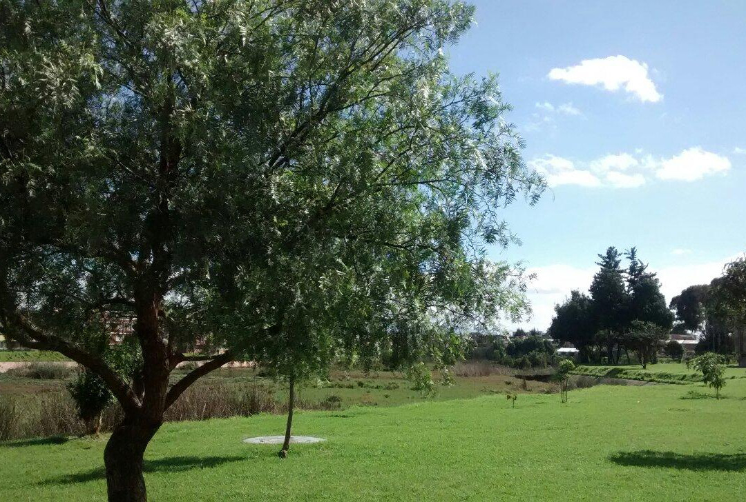 Funza旅游景点-Humedal El Jaboque