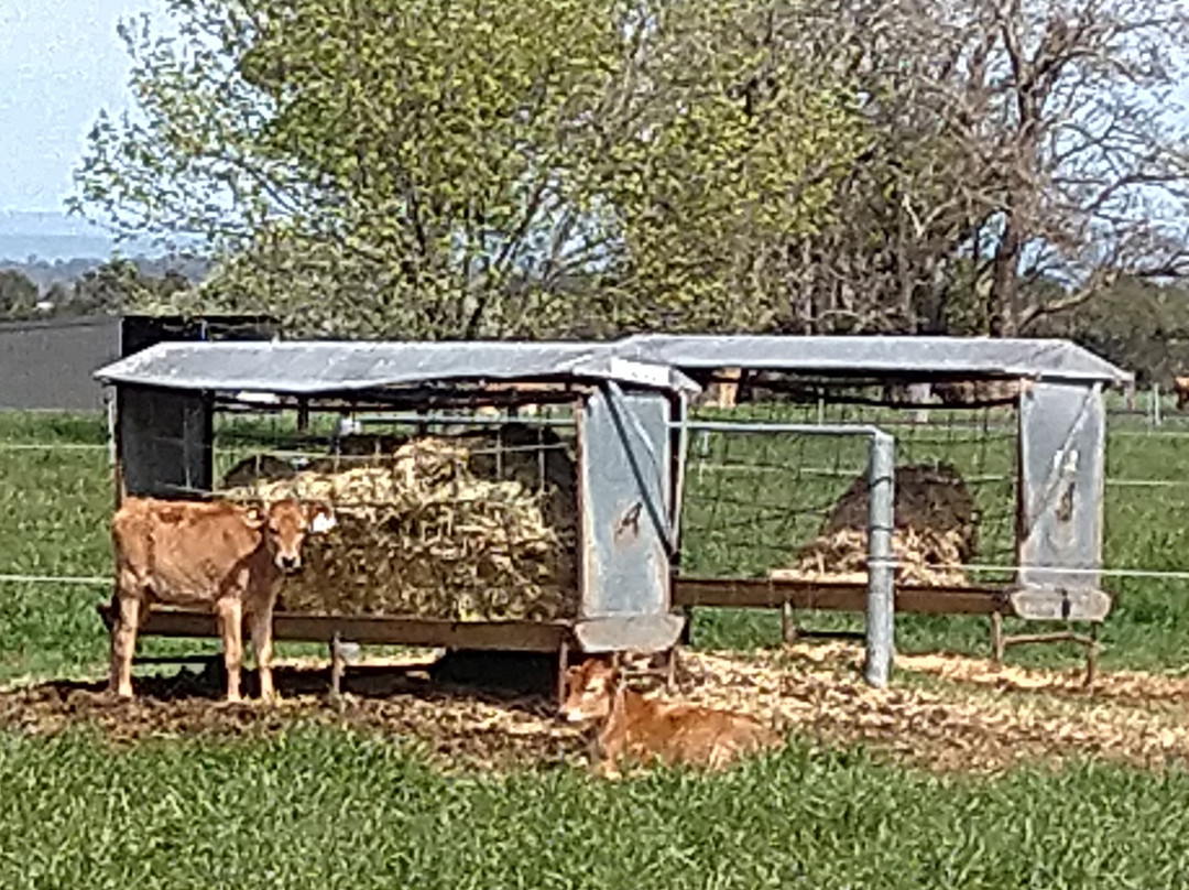 温州花园大酒店主图