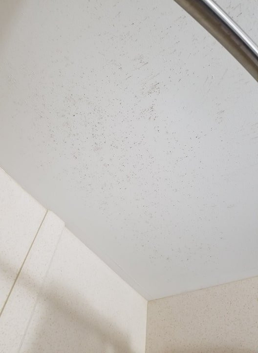 Holiday Inn Express & Suites North Fremont By IHG主图