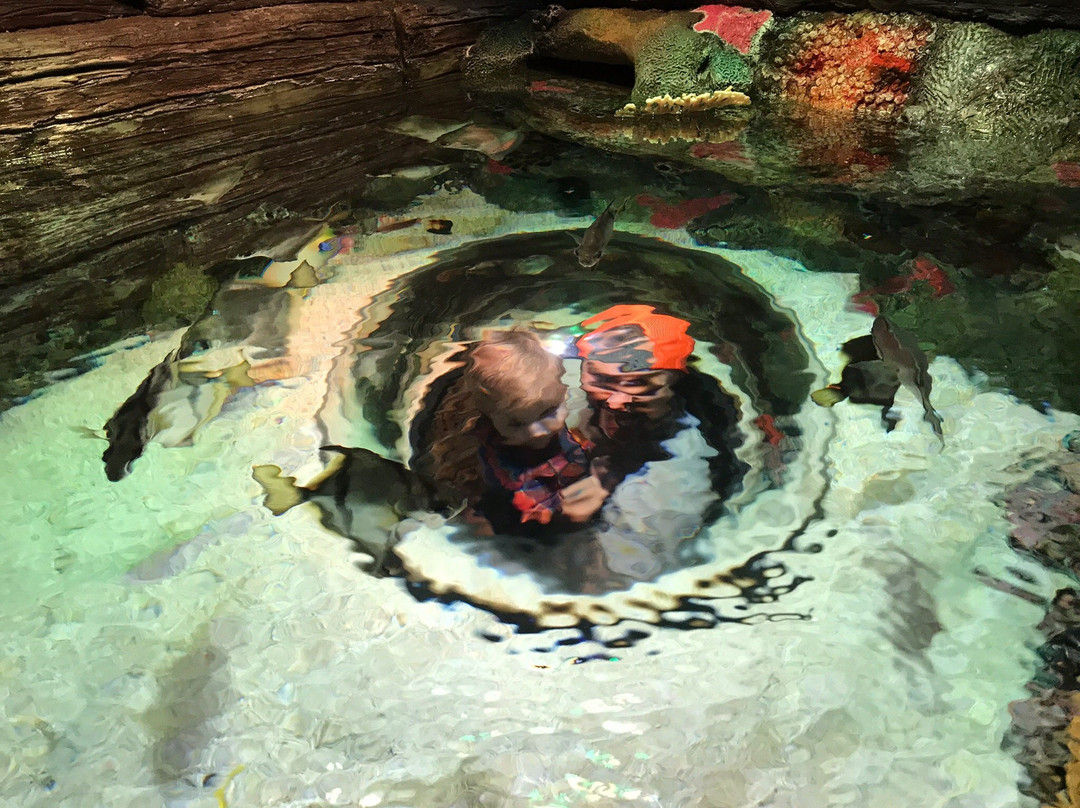 SEA LIFE Kansas City-堪萨斯城必去景点