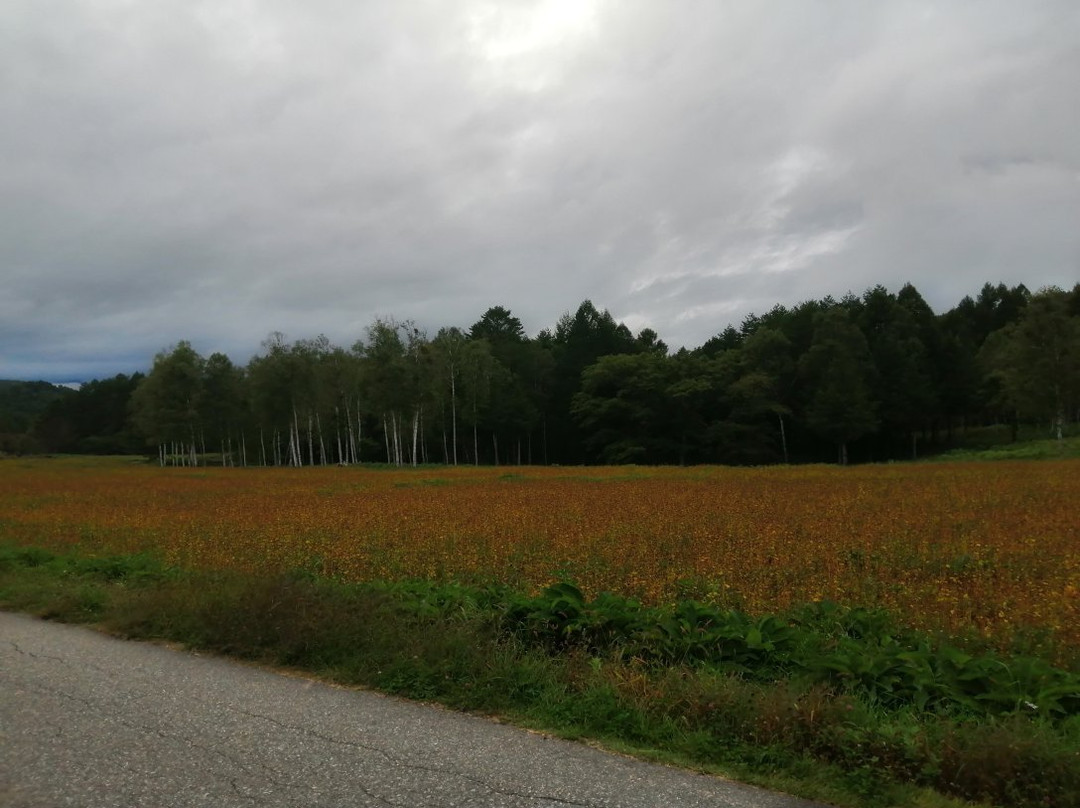 Kisomanosato-木曾町必去景点