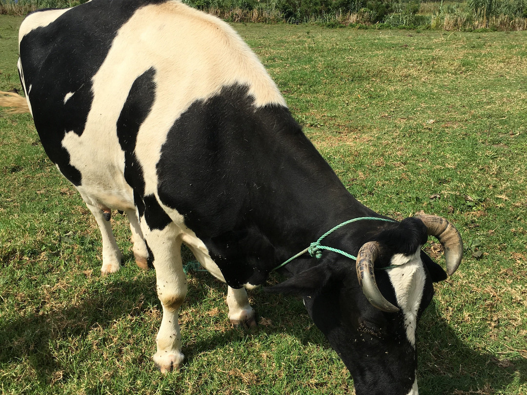 Quinta das Raiadas-蓬塔德尔加达必去景点