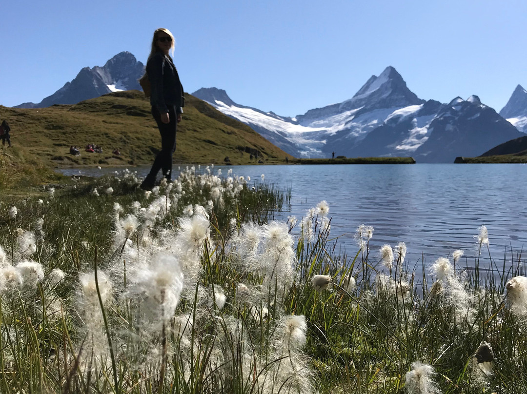 Grindelwald Walking Tours-格林德瓦必去景点