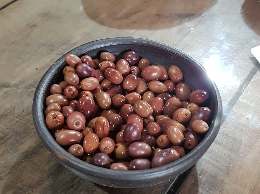 Olivos Centenarios-Huasco必去景点