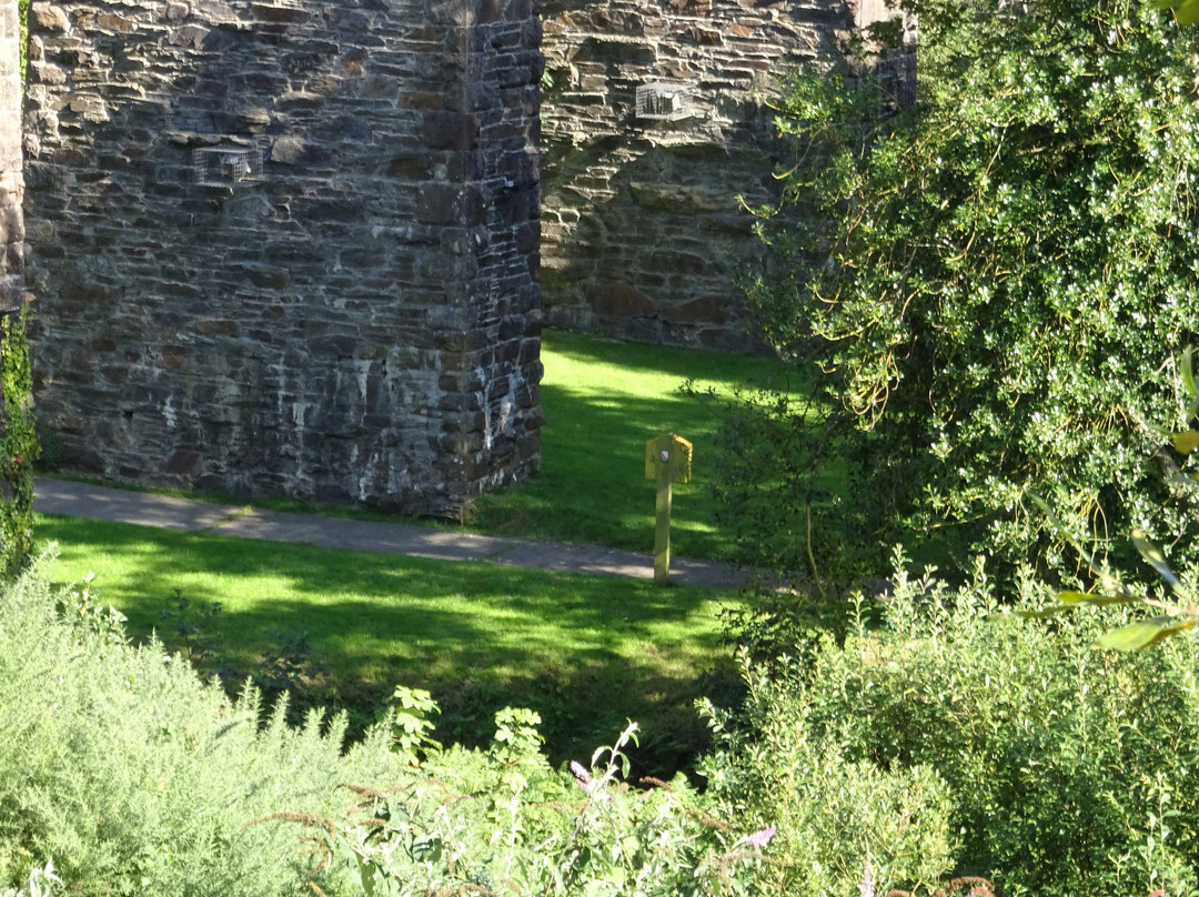 Kilmacthomas Railway Viaduct景点图片