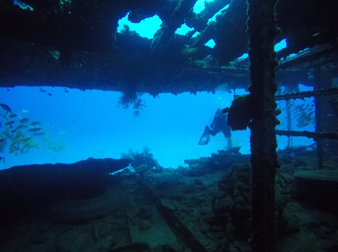 Emperator Diving Center景点图片