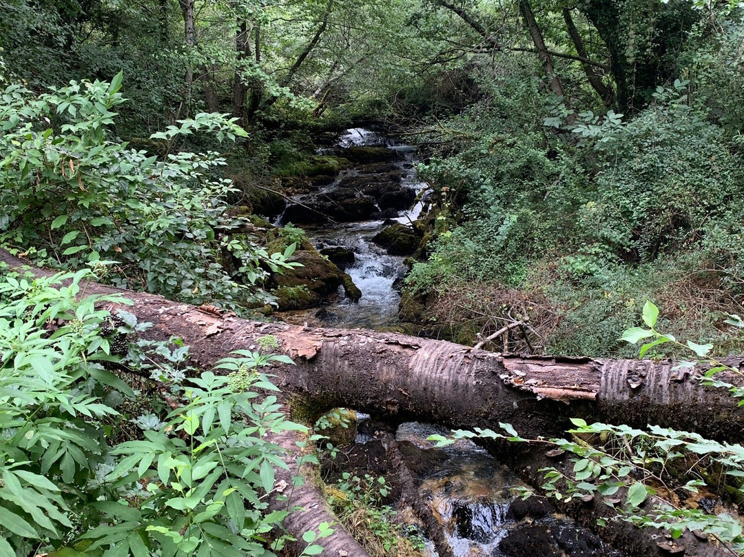 Vevchani Springs景点图片