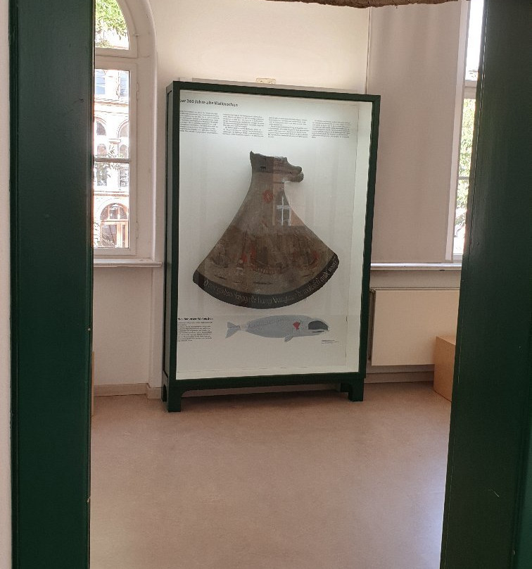 Phyletisches Museum景点图片
