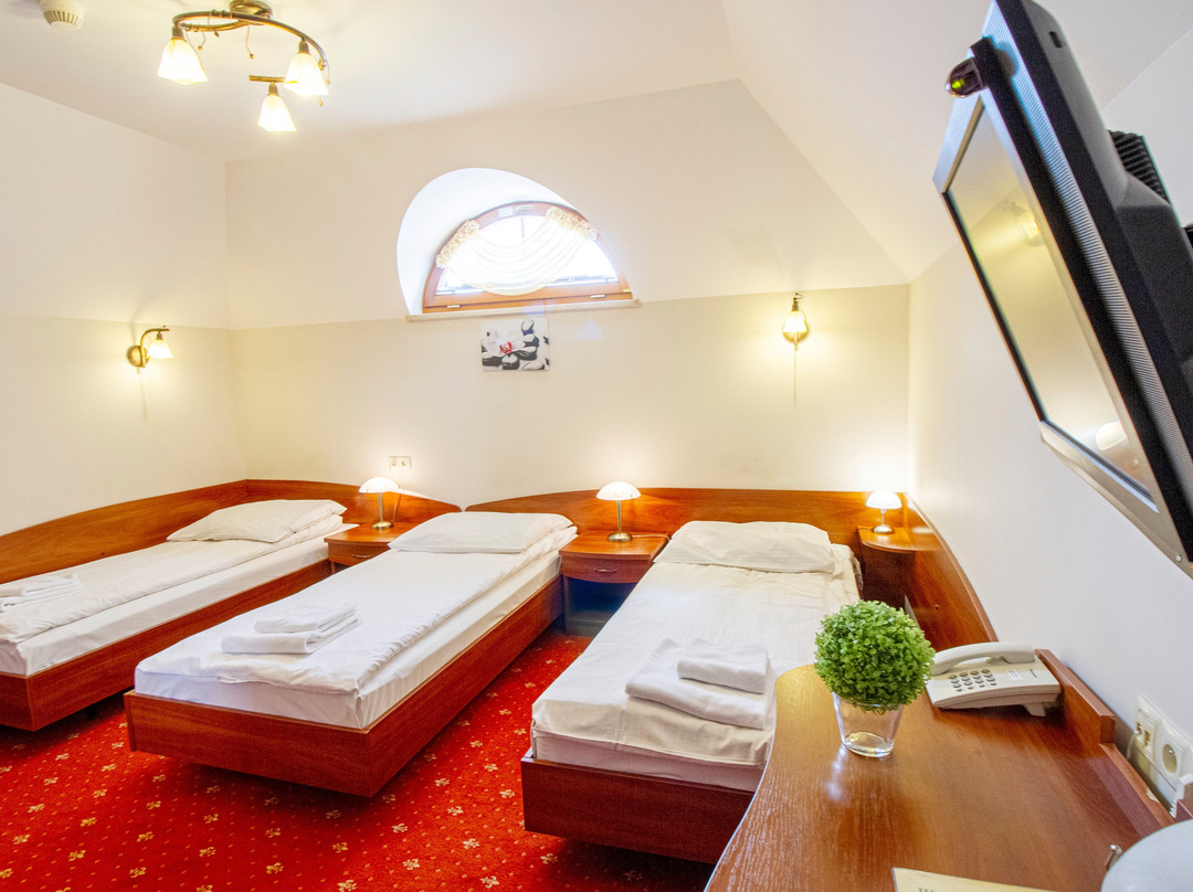 Hotel Stary Młyn主图