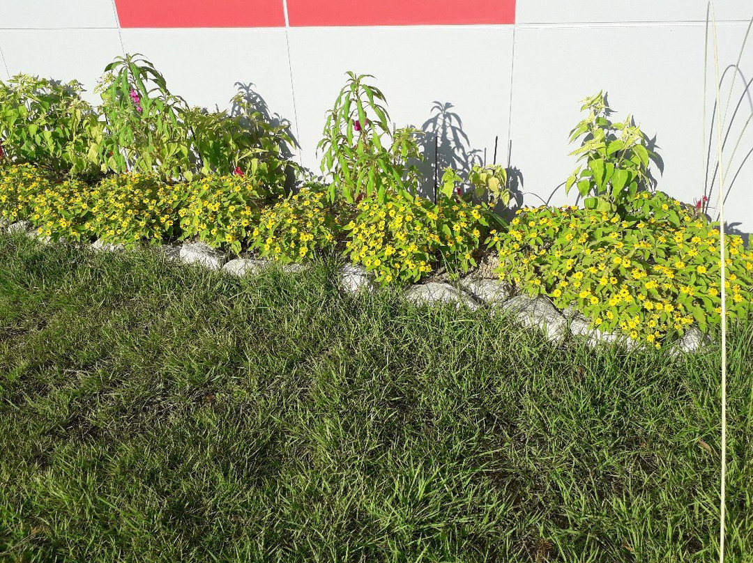 Ipgok County Park-咸安郡必去景点