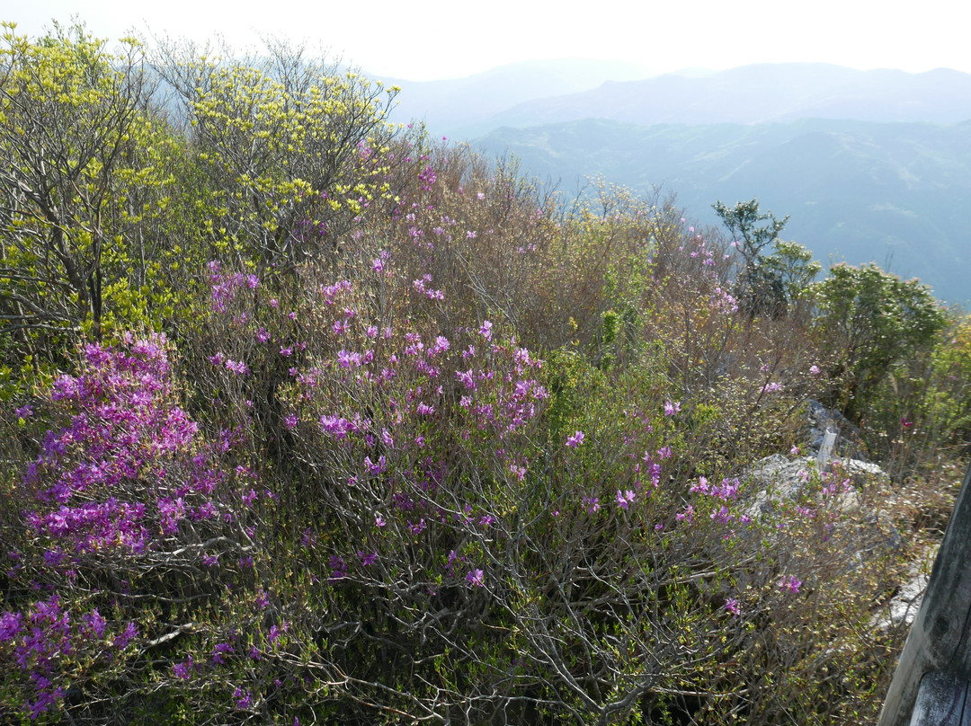 Mt. Kajigamori-大豊町必去景点