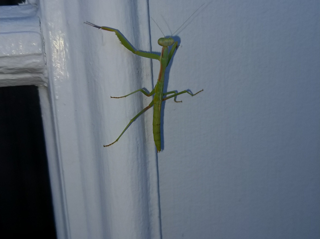 Boulder Dam Hotel主图