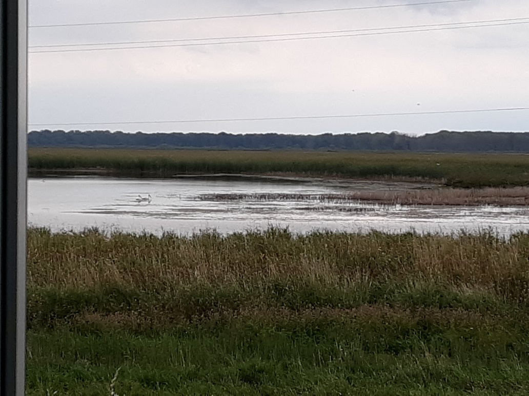 Shiawassee National Wildlife Refuge景点图片
